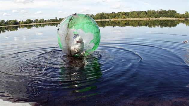 Zorbing na peerpávací nádri Lhotka