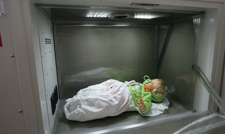 V havlíkobrodské nemocnici se nakonec rozhodli, e by babybox pece jen chtli. A dokonce u letos na podzim (ilustraní snímek).