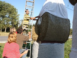 V Jakubov na Tebsku postavili u silnice z obch balk slmy sochu