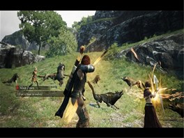 Dragons Dogma