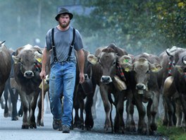 Bavortí pastevci odvádjí svá stáda z vysokohorských pastvin pohoí Oberstdorf