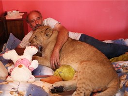 Miroslav Gajdorus a jeho devtimsn lev berbersk