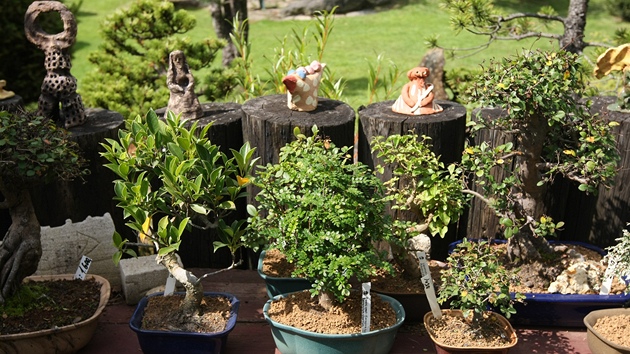 Pavel imon vytvoil ve Sneném japonskou bonsajovou a kamennoou zahradu. Dílo,