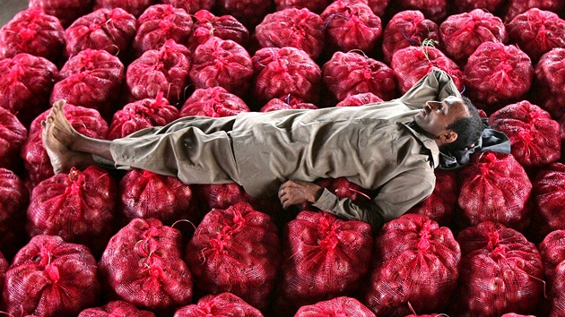 Mu� si dop�ává krátký spánek na pytlích s cibulemi na ob�ím zeleninovém tr�i�ti