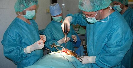 Specialisté chirurgie a ortopedie Kliniky chorob ps a koek Fakulty