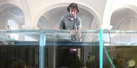 Oto Bernard loví tropické ryby ze zruené expozice akvárií v barokních