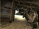 Counter-Strike: Global Offensive