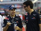 Velmi spokojen se ped Velkou cenou Singapuru tváili  Sebastian Vettel a Mark