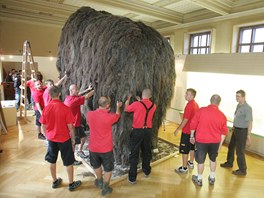 Historickou budovu Národního muzea opustil čtyřmetrový model mamuta, který se v