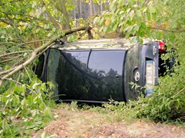 U Louky nedaleko Litovle na Olomoucku havarovalo auto. Spolujezdci se pi n vn zranili, idi z msta nehody zmizel, ovem nsledn ho vyptral policejn pes.