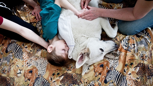 Grant Prahy - Jak se �ije posti�eným, p�edev�ím d�tem, v dne�ní Praze 