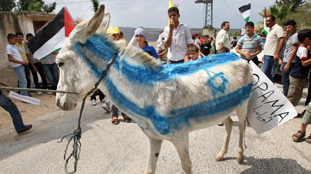 Palestinský mladík hází kamenem smrem k izraelskému území na hraniním pechodu Calandia.