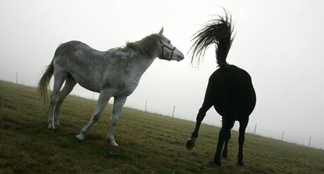 Jeden k pi nehod zemel, dva jsou zranni. Ilustraní snímek