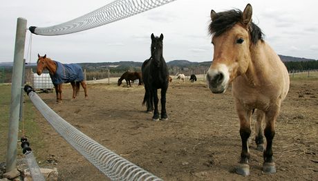 koláci na jihu Moravy mají v pátek pololetní prázdniny, hned v pondlí na n navazují jarní prázdniny. Ty mohou dti proít teba na lyaském svahu v Nmikách nebo v koském sedle ve Vykov (ilustraní snímek).