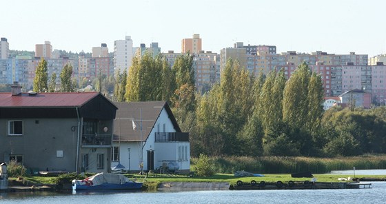 Topolová alej na severozápadní stran Velkého boleveckého rybníka v Plzni se