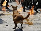 Nejen policist se museil vypodat se zpalnmi lahvemi.