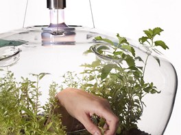 Svítidlo - skleník, design: Kristýna Pojerová (2011), zájemce musí poítat