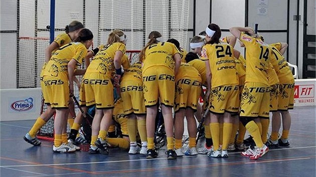 Florbalistky Herbadent Tigers Praha