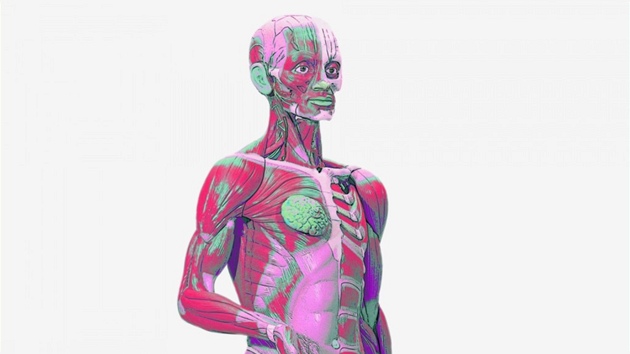 Ilustra�ní snímek