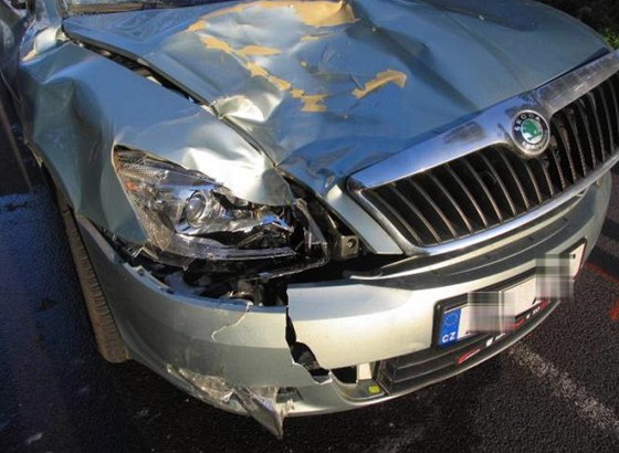 Na Znojemsku se ve tvrtek srazilo auto s konm. Zranné zvíe musel veteriná
