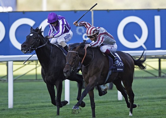 PROKLETÝ BIÍK. Christophe Soumillon povzbuzuje svého kon Cirrus des Aigles