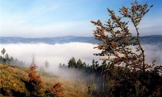 Podzimní mlhy na Tinovsku (ilustraní snímek)