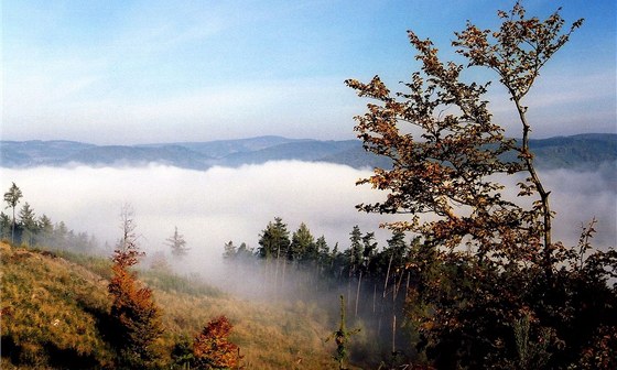 V pítích dnech ná eká sychravé poasí a mlhy. Ilustraní foto