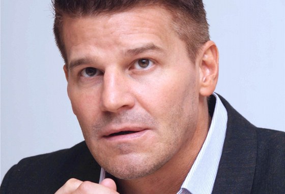 David Boreanaz