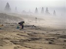 Dobrovolník istí novozélandskou plá, kterou zaplavil olej ze ztroskotaného