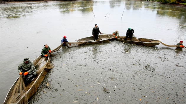Rybáři na Vysočině již začali s výlovy některých rybníků. Štěpnický rybník v...
