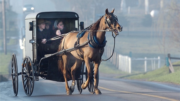 Amišové odmítají auta, cestují tradičními starodávnými bryčkami