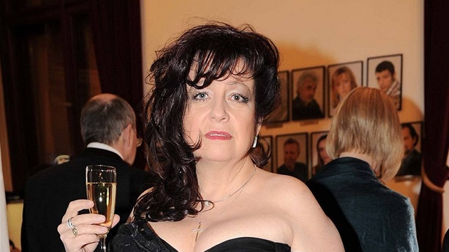 Deana Jakubisková - Ples v Ope�e 2010 