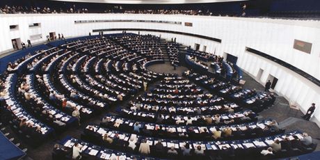 Evropský parlament pi jednání. Kdo z kandidát usedne do bruselských lavic? (ilustraní snímek)