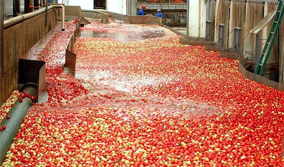 Výroba kečupu v továrně Heinz ve Španělsku. Ilustrační foto