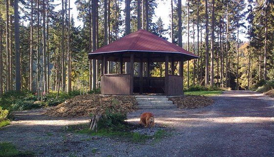 Obnovený lesopark v Perninku.