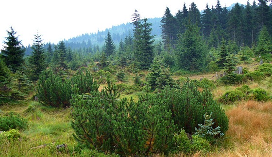 Nová hebenovka zavede turisty do Jizerských i itavských hor.