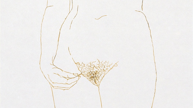 Alena Kup�íková: Chlupatice