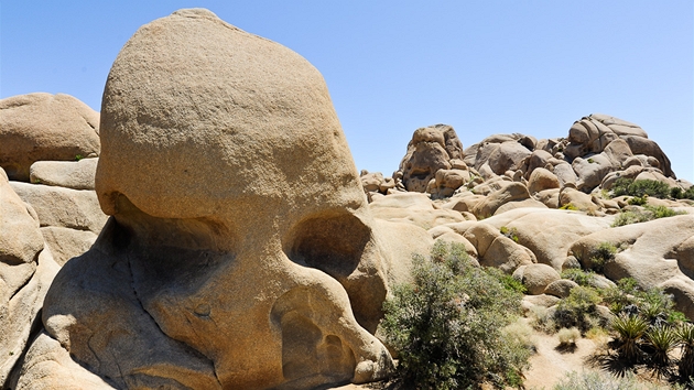 Národní park Joshua Tree, ulová skála ve tvaru lebky  Skull Rock 