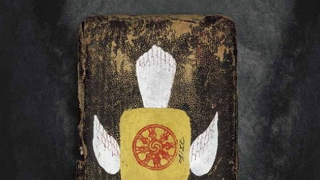Obálka knihy Ptaí snm od Petra Síse