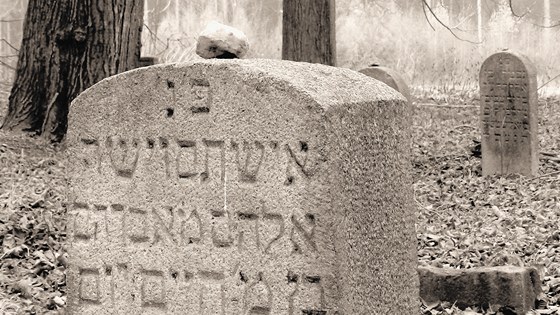 Tyfový židovský hřbitov v Havlíčkově Brodě je jediný svého druhu v českých...