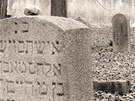 Tyfový židovský hřbitov v Havlíčkově Brodě je jediný svého druhu v českých...
