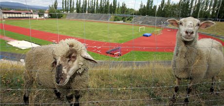 Atletický stadion AC Start je kvli dluhm na prodej.