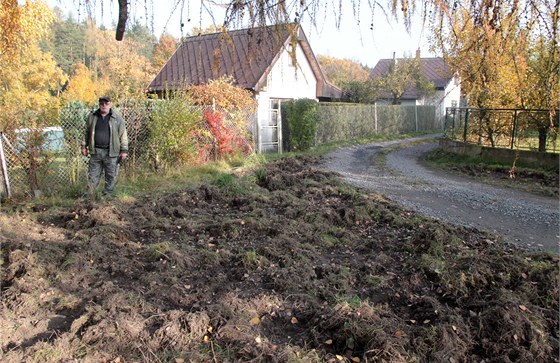 Ped "útokem" divokých prasat byl v Tehov na pozemku Jaroslava Fanty trávník.