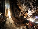 Komentovaná prohlídka Amatérské jeskyn v Moravském krasu.
