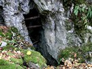 Do nevelké plochy Vratíkovského krasu se vtsnalo estnáct jeskyní. Nejdelí z