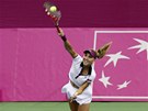 SERVIS S NADENÍM. Ruska Elena Vesninová podává ve finále Fed Cupu proti eským