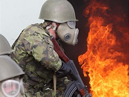 Ve výcvikovém prostoru Březina na Vyškovsku bude armáda nadále cvičit nové...