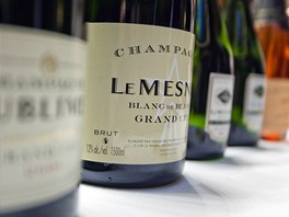 Na úastníky pehlídky ekaly vzorky ze estnácti champagne dom (rozumj
