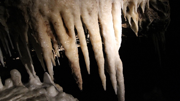 Komentovaná prohlídka Amatérské jeskyně v Moravském krasu.