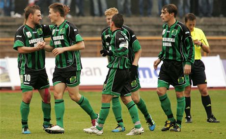 Sokolovtí fotbalisté se radují z gólu (ilustraní foto).
